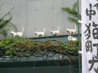 Cat ornaments